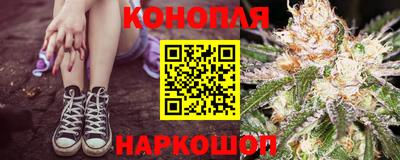 Альфа ПВП Обь