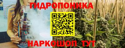 Альфа ПВП Обь