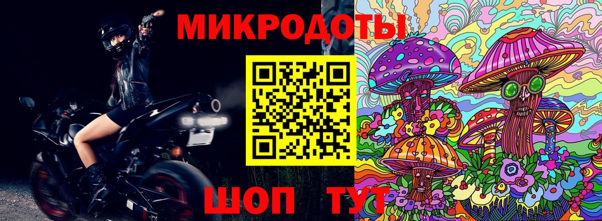 Псилоцибиновые грибы Psilocybe  Вход с VPN  Топки 