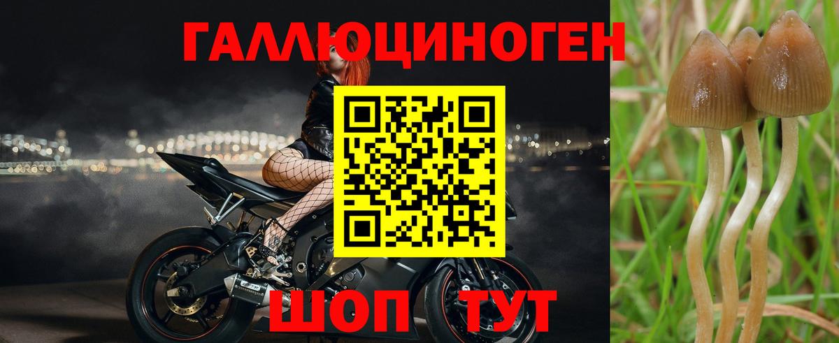 Галлюциногенные грибы ЛСД Топки